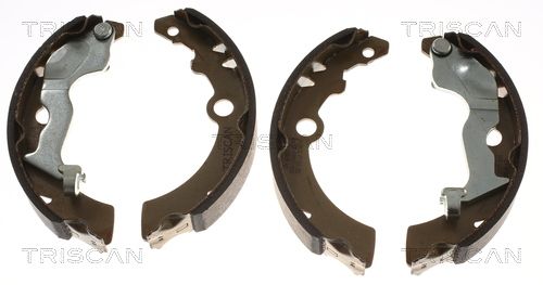 TRISCAN fékpofakészlet 8100 69005