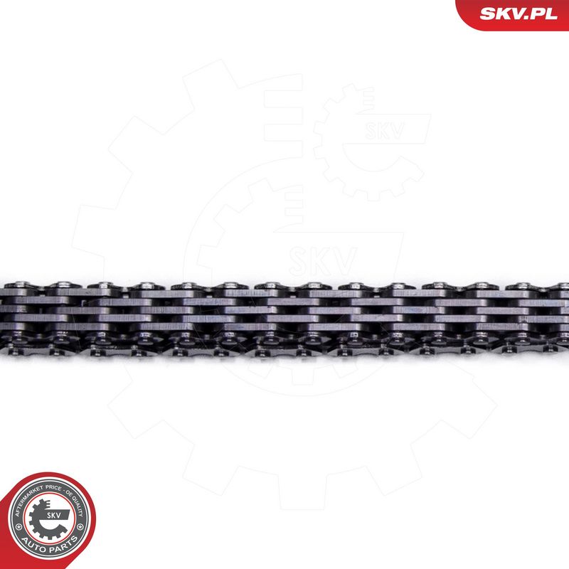 Mootori keti komplekt, ESEN SKV 21SKV253