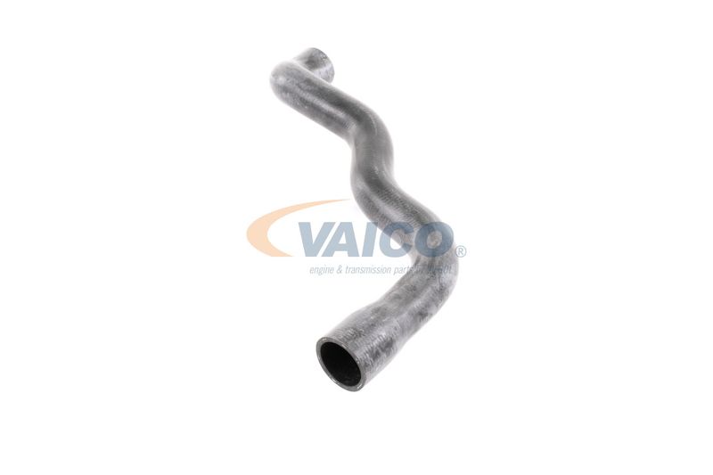 VAICO V30-2915 Radiator Hose