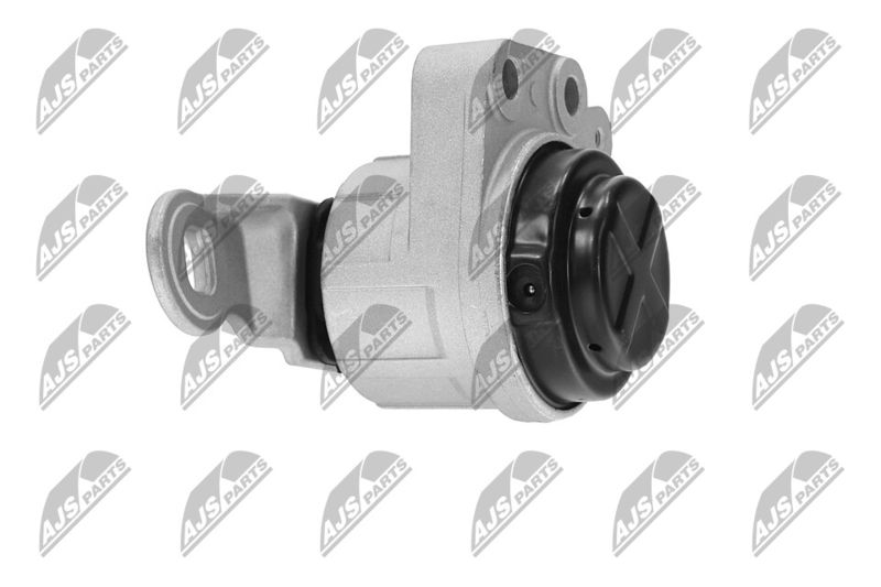 Paigutus, Mootor, NTY ZPS-FR-044