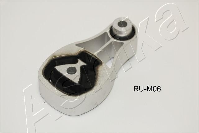 GOM-M06_1.JPG