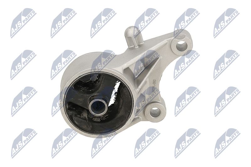 Paigutus, Mootor, NTY ZPS-PL-093