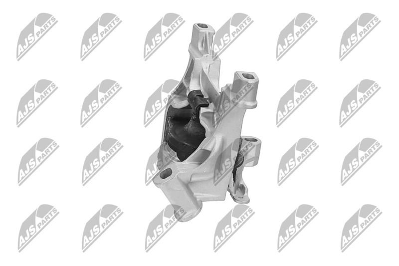 Paigutus, Mootor, NTY ZPS-MZ-071