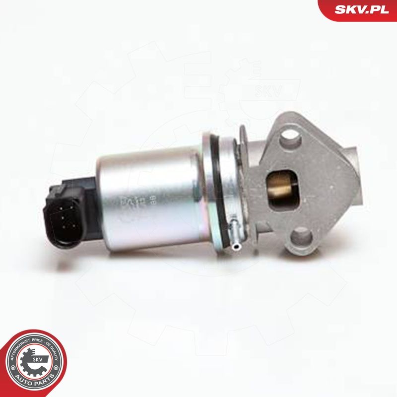 EGR-klapp, ESEN SKV 14SKV029