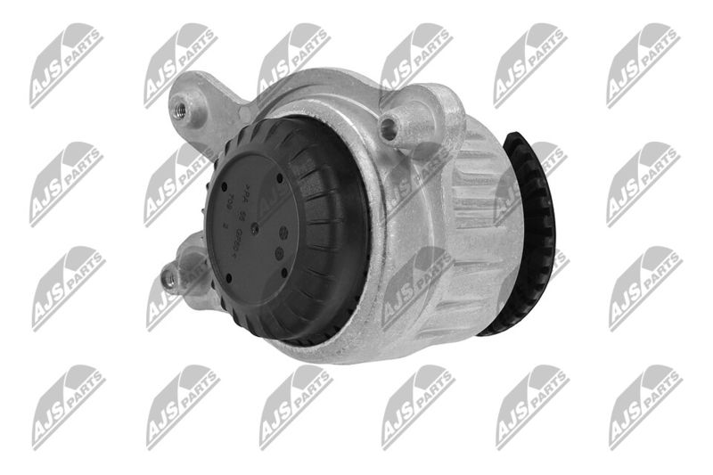 Paigutus, Mootor, NTY ZPS-ME-043