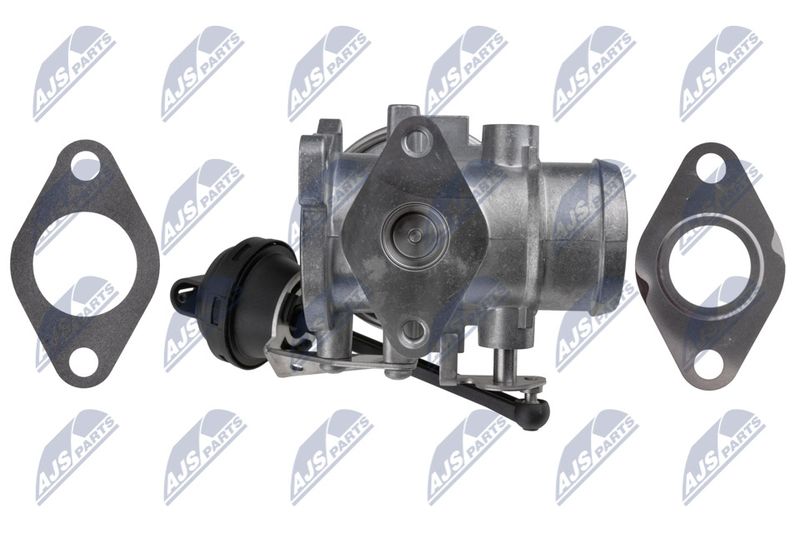 NTY EGR-VW-031 EGR Valve