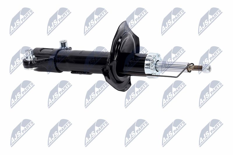 Amort, NTY A-NS-015