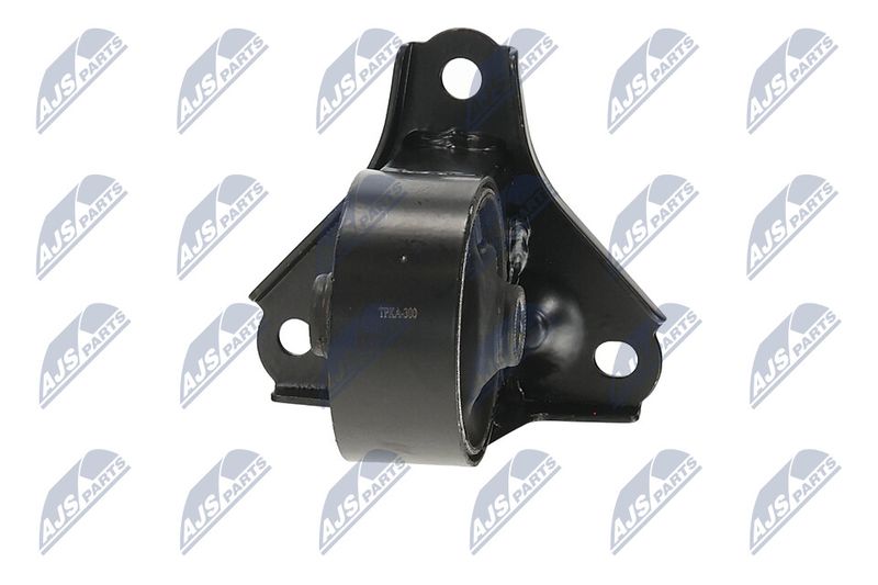 Paigutus, Mootor, NTY ZPS-KA-300