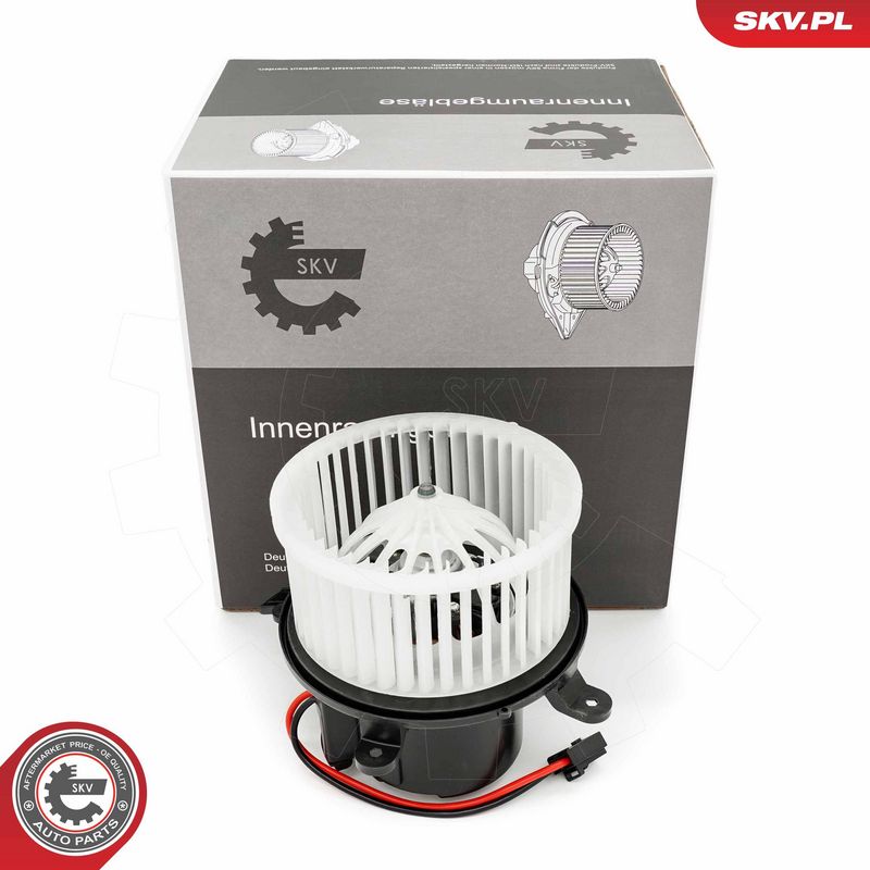 Salongipuhur, ESEN SKV...