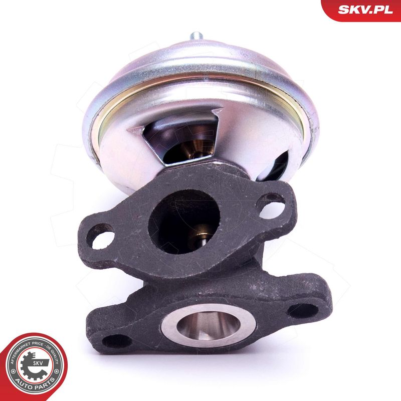 EGR-klapp, ESEN SKV 14SKV204