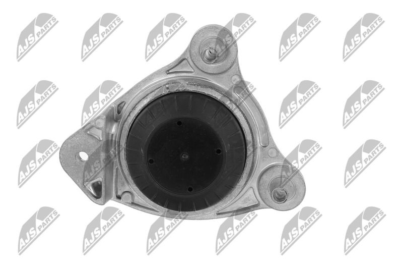 Paigutus, Mootor, NTY ZPS-ME-066