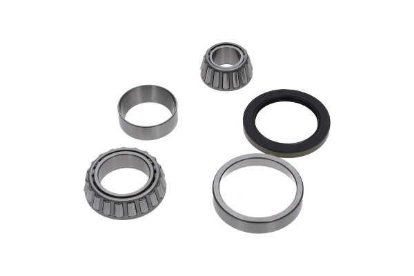 Kavo Parts WBK-10040 Rato guolio komplektas