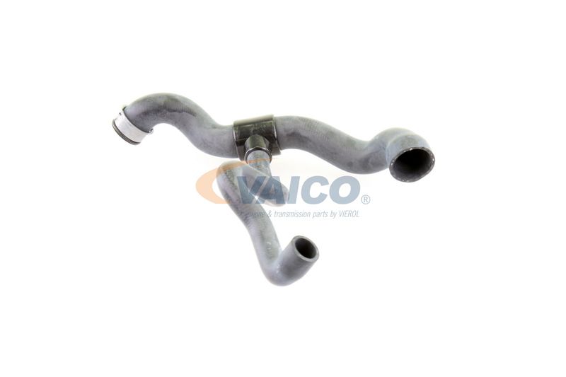 VAICO V30-1660 Radiator Hose