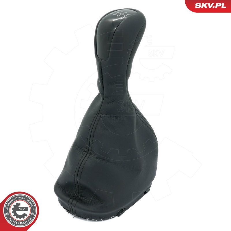 Käigukanginupp, ESEN SKV...