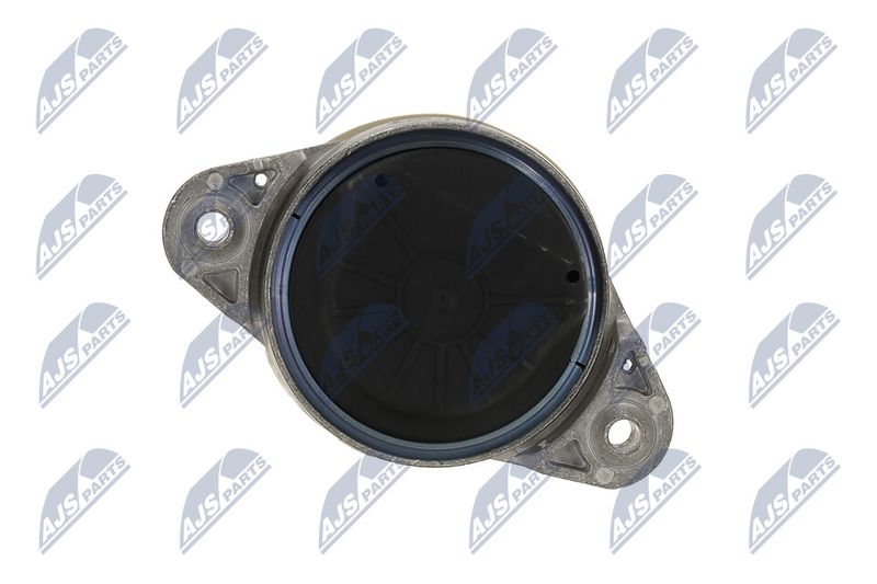 Paigutus, Mootor, NTY ZPS-ME-011