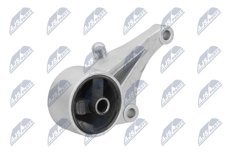 Paigutus, Mootor, NTY ZPS-PL-015