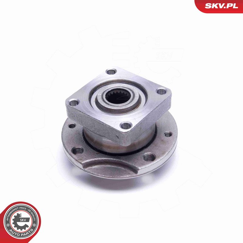 ESEN SKV 29SKV455 Wheel Bearing Kit
