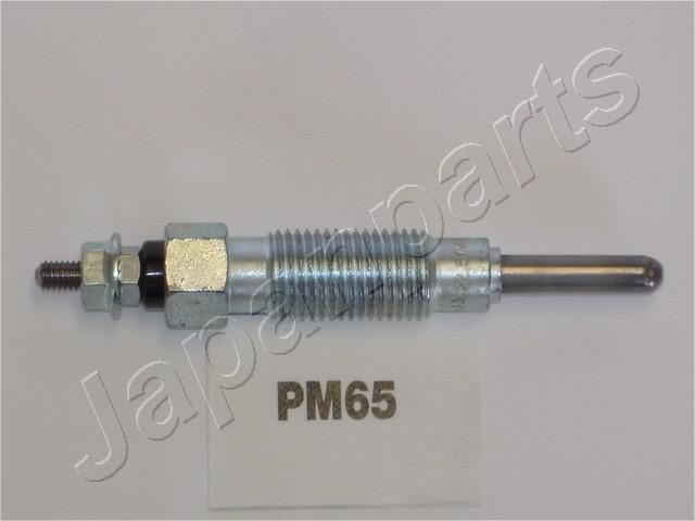 PM65_1.JPG