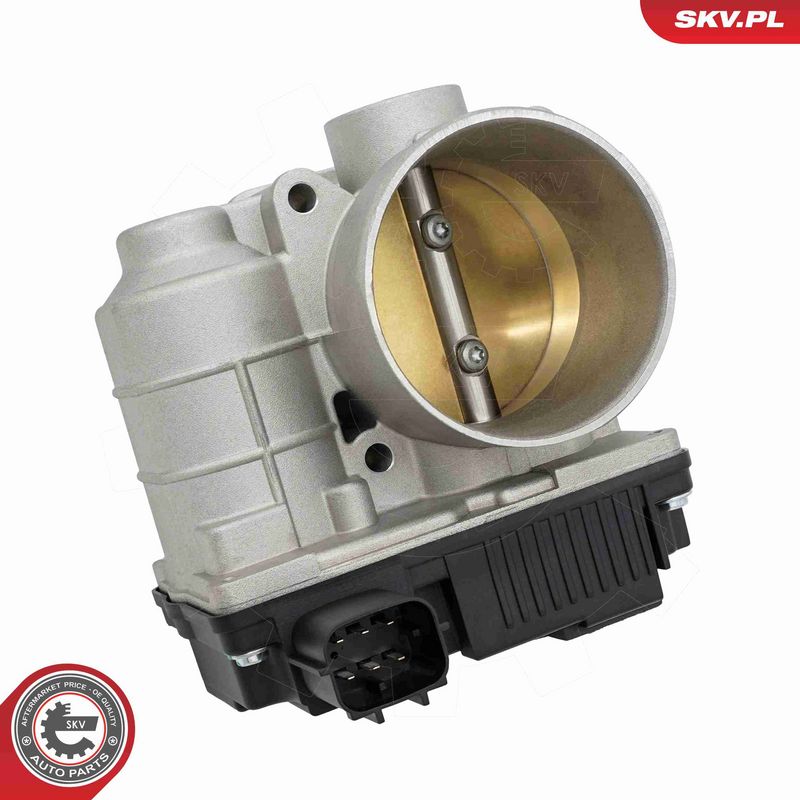 ESEN SKV 12SKV179 Throttle Body