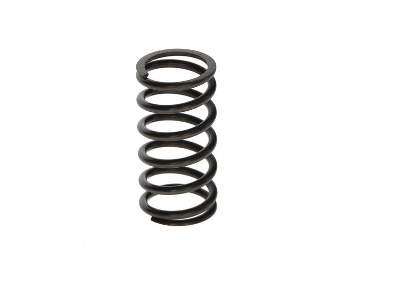 BOSCH F00N201853 Spring