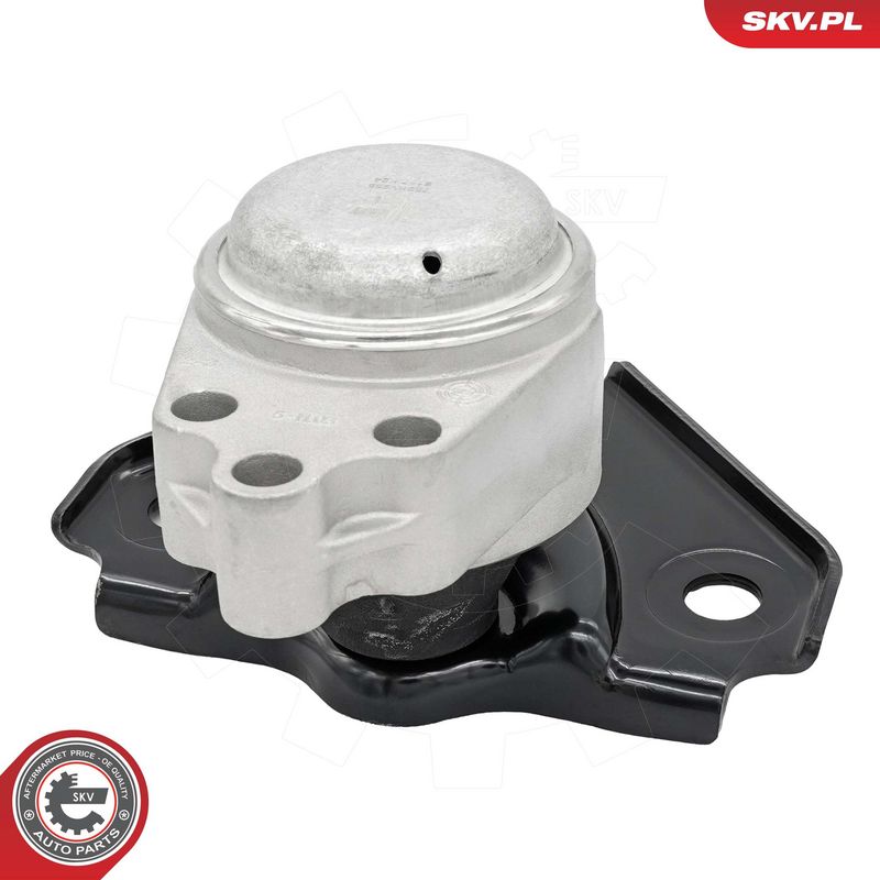 Paigutus, Mootor, ESEN SKV 75SKV256