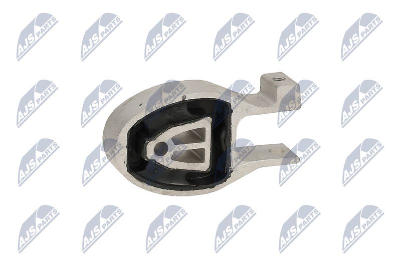 Paigutus, Mootor, NTY ZPS-FR-037