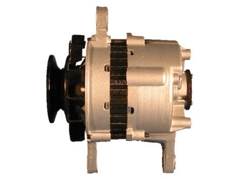 AG0611RB.JPG