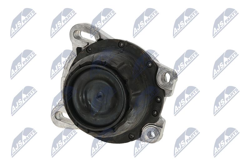 Paigutus, Mootor, NTY ZPS-FR-013