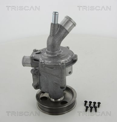 TRISCAN Vízszivattyú, motorhűtés 8600 11966