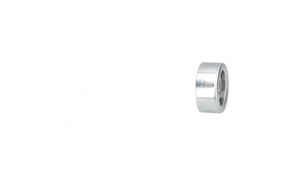 Kavo Parts DTP-9045 Poli-V diržo įtempimo skriemulys