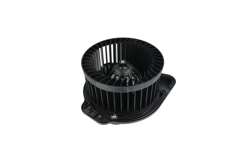 Salongipuhur, NRF 34136