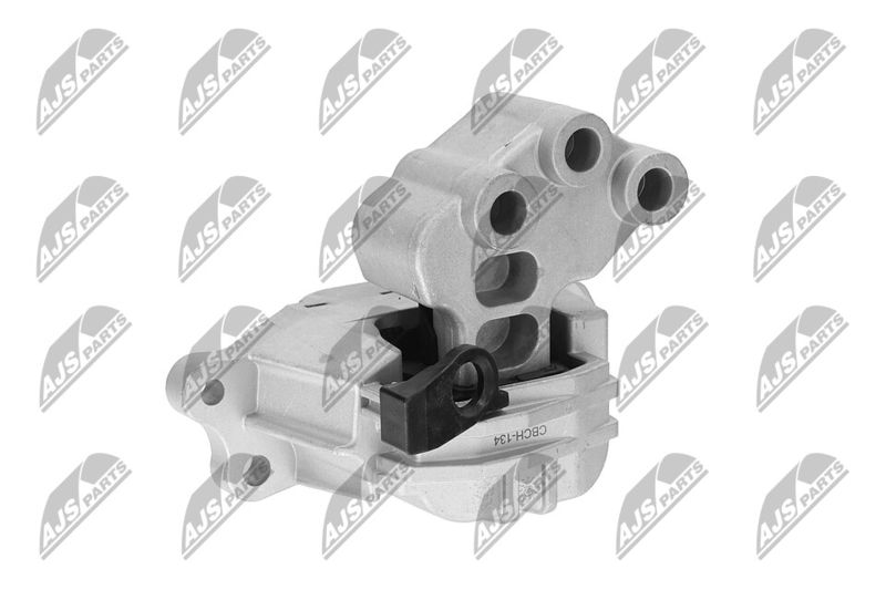 Paigutus, Mootor, NTY ZPS-CH-134