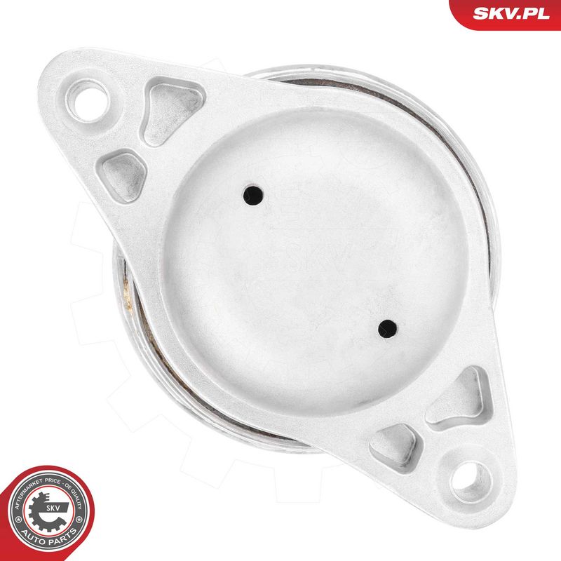 Paigutus, Mootor, ESEN SKV 75SKV323