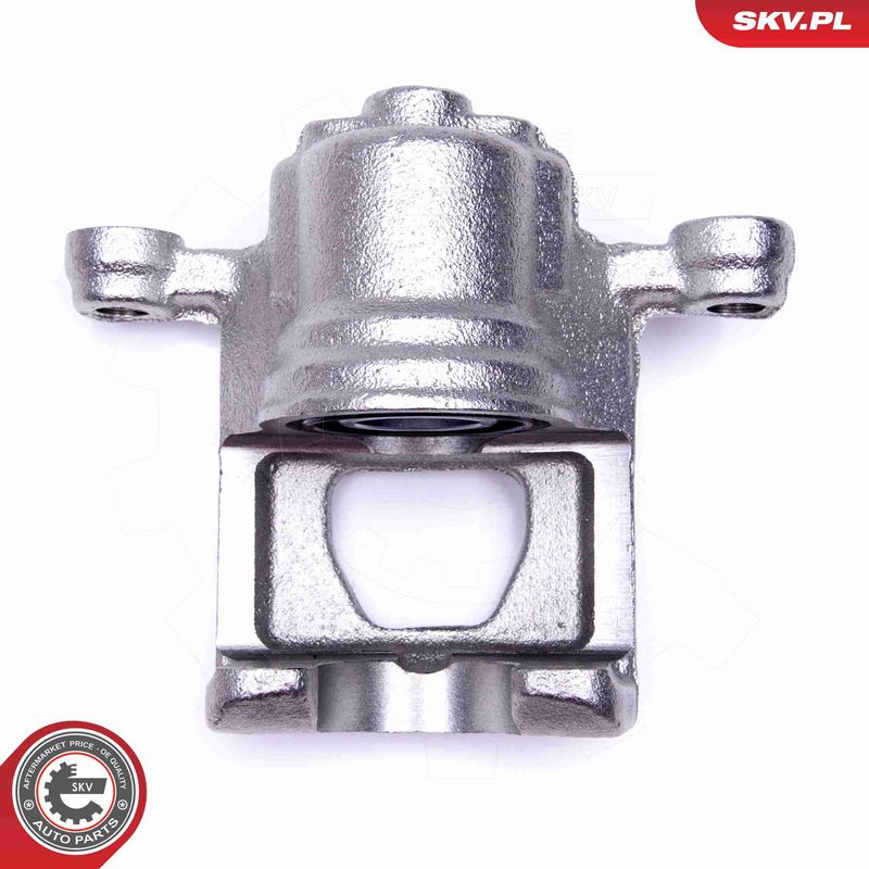 ESEN SKV 46SKV193 Brake Caliper