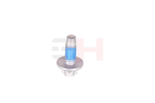 Vedruamordi tugilaager, GH GH-393311