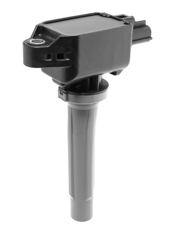 ZS638_02.JPG