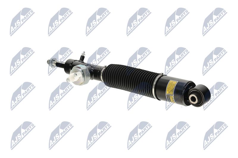 Amort, NTY A-NS-055