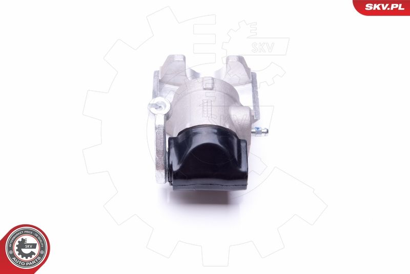 ESEN SKV 45SKV873 Brake Caliper