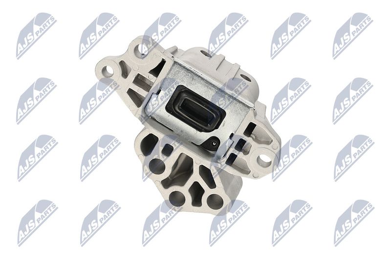 Paigutus, Mootor, NTY ZPS-CH-133