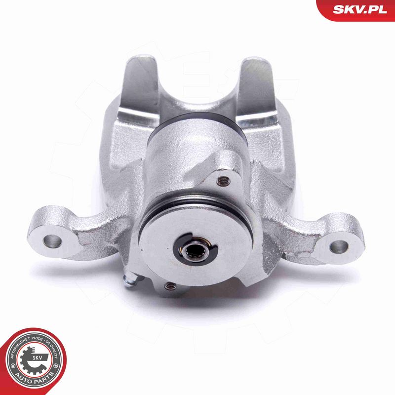 ESEN SKV 56SKV443 Brake Caliper