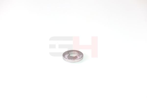 caster shim, sillatala, GH GH-391582