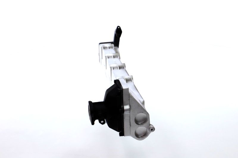 REMANTE 010-001-000002R EGR Module