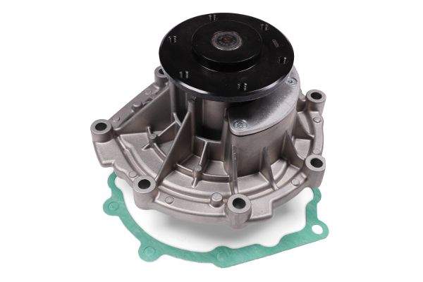 P9806 (1).JPG