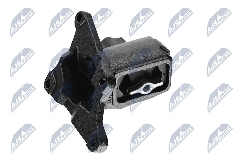 Paigutus, Mootor, NTY ZPS-CH-030