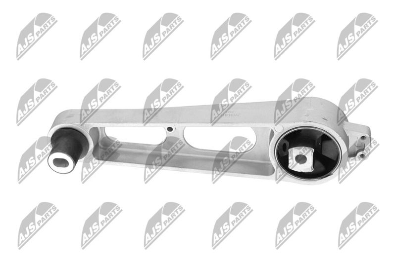 Paigutus, Mootor, NTY ZPS-CH-011