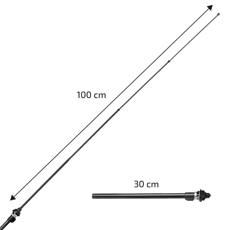 540010_D1_MASSE.JPG