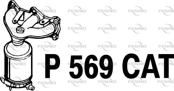 P569CAT.JPG