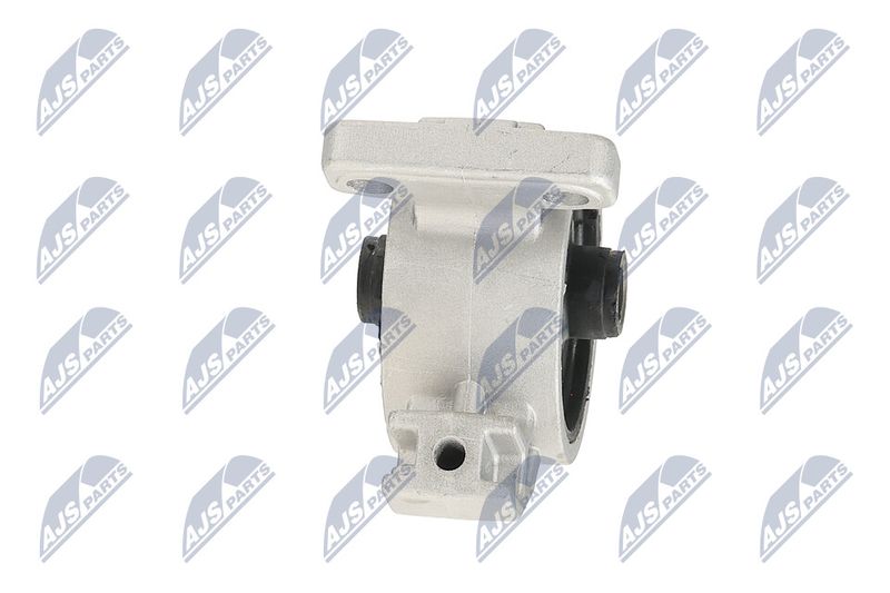 Paigutus, Mootor, NTY ZPS-KA-318