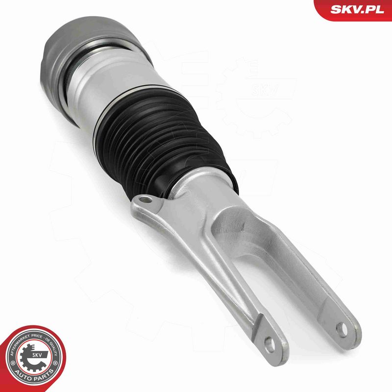 ESEN SKV 58SKV707 Air Suspension Strut