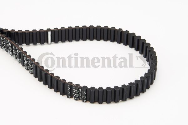BELTPIC_CT907.JPG